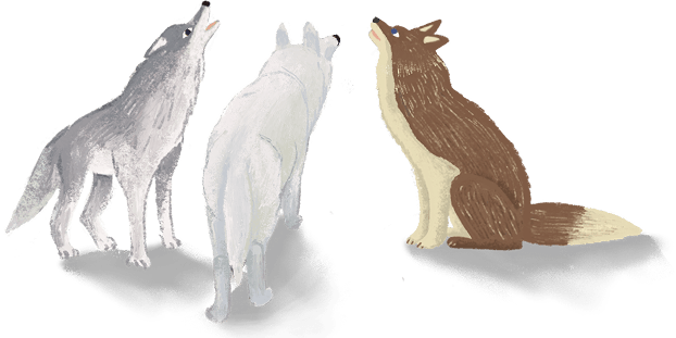 wolves